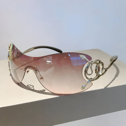 Lunettes classiques brillantes